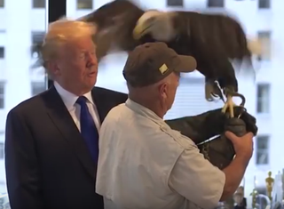 Screenshot: Eagles With Donald Trump (YouTube)